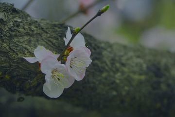 F19A7E0F-1E52-4DC8-9486-106D73840259/L0/001