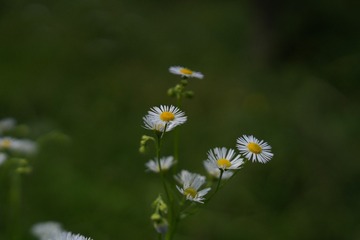 75B69C69-9099-4CB2-B9D8-465B3169FC3B/L0/001