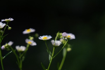 C0891857-6E14-4B2F-97EF-C23AEB443787/L0/001