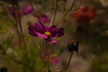 7CD61EAE-B4EA-4401-BBA2-7E20840FB943/L0/001
