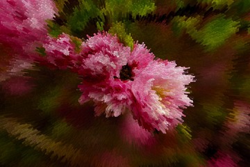 7F06B2A0-83E6-47C9-9837-4DD6220F29EF/L0/001
