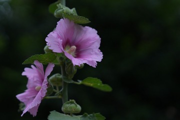 DF4F953D-4433-414B-AD52-F96F6704E014/L0/001