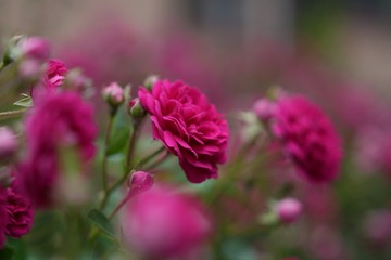 64B99896-4877-4DB7-887D-CC86D6C0B8AA/L0/001