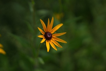 039B7856-5BF0-4196-B8D5-0B26DA850A7F/L0/001