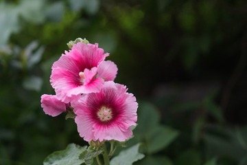 D36B8978-97CA-470C-867C-472CA62F3250/L0/001