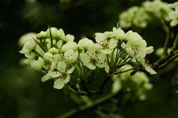 141904A9-09FB-45F6-9E93-9EECA6C9E5B8/L0/001