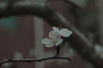 9162127A-354D-4771-B92E-5DF74D3D895A/L0/001