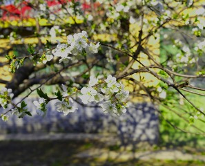 05AE5069-5ABF-4C5B-B3D3-CE64DA0DB4D4/L0/001