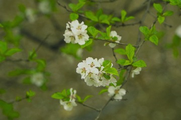 79B75349-A5D7-4C15-8815-9995648E9669/L0/001