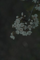B4A36CDC-7F64-4746-A931-5C58C73C1992/L0/001