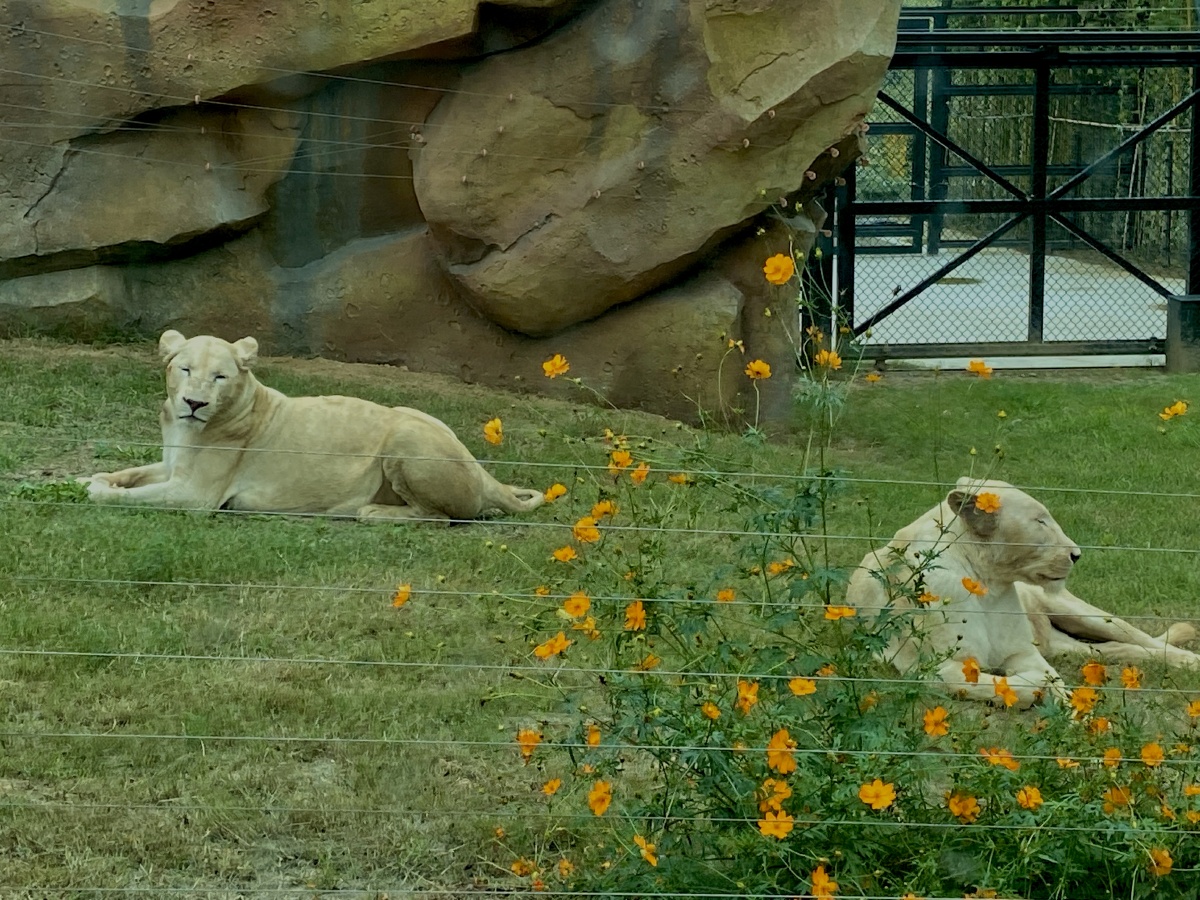 郑州银基动物王国