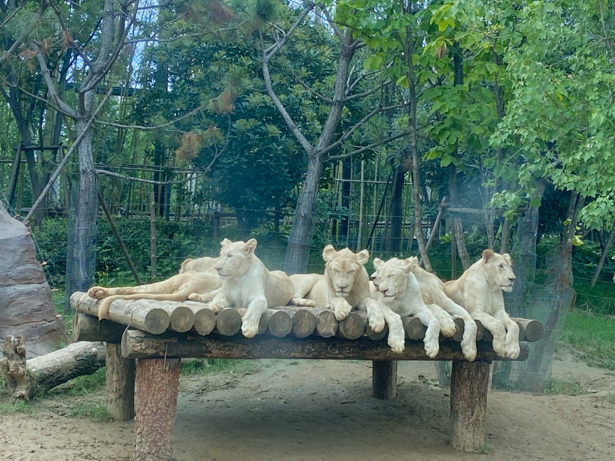 郑州银基动物王国