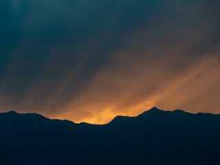 1000049367