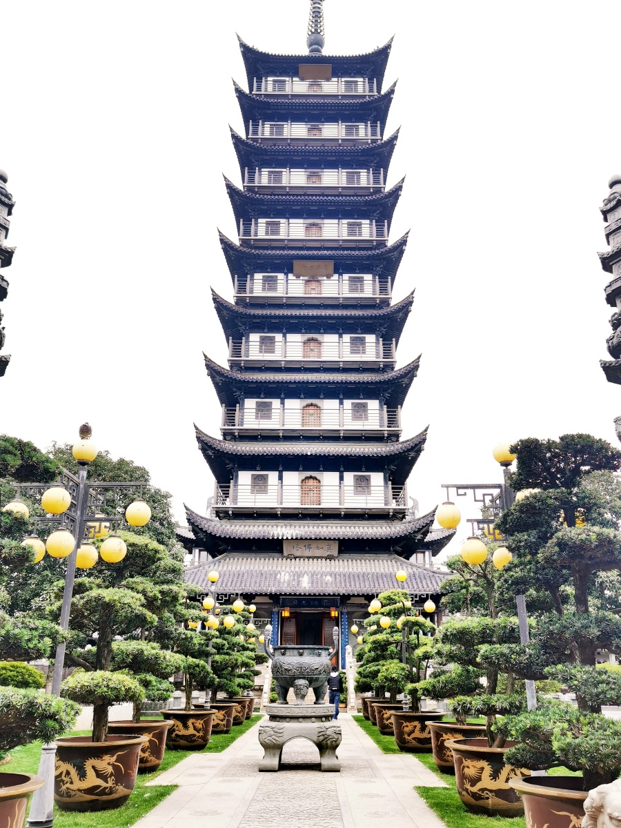 古镇古寺古树700年的上海真如寺