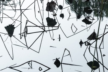 1000414506