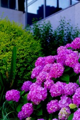 062C527C-2CD1-4D55-A648-80DC0C204C71/L0/001