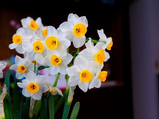 8D08DA97-785C-44B5-98C6-33E90CB6F383/L0/001