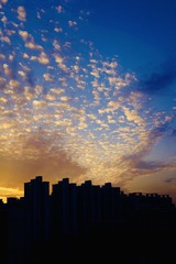 EB8FC8D5-A77B-45DA-894E-AC1B151AA7A0/L0/001