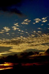 7B0367D6-F127-4F66-AC7B-F79F56D2A1B2/L0/001