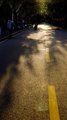 E7425480-B4B1-4CF1-94E6-EEC90DD07548/L0/001