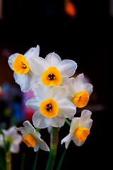 F349B02A-2A4E-4B1B-9C33-740237BACD75/L0/001