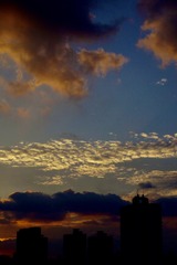 7ADE154F-B211-42FA-83C3-91C4981964B2/L0/001