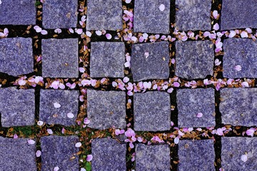 A6DD83C2-091F-4394-996A-78EF23CA0EF6/L0/001