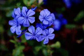 C7B29486-6F3F-43A3-9867-F2B9BAADAA15/L0/001