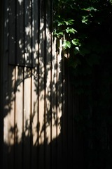 723460