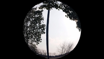 1645684