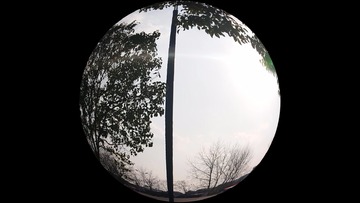 1645683