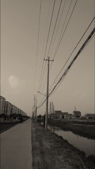 1645702