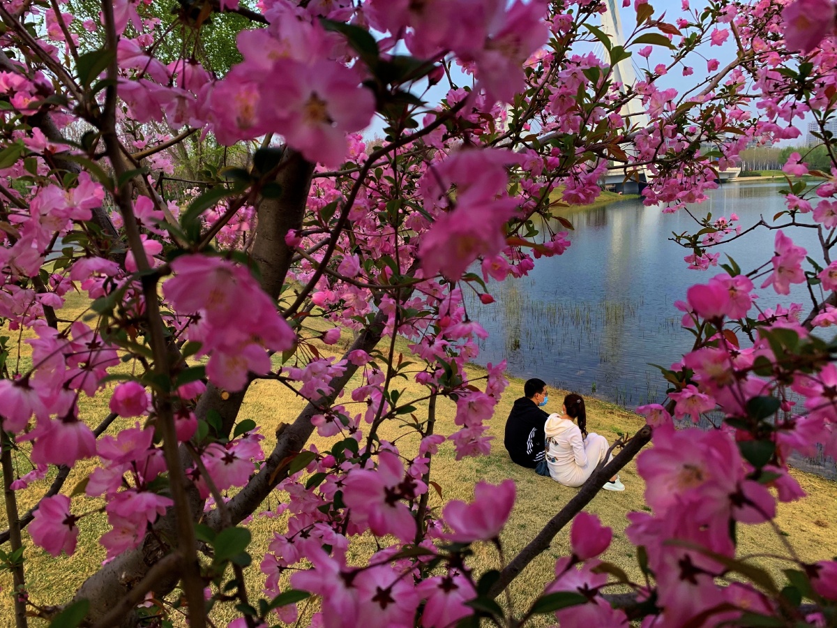 一对相见与春光中的人儿