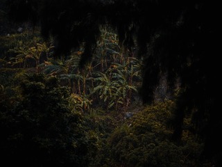 52D97AC6-8BCE-4901-BA6A-EA78E62608FD/L0/001