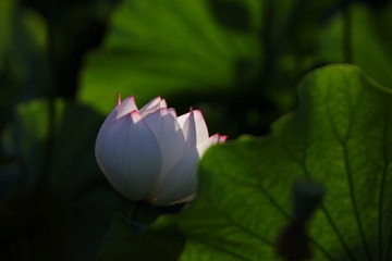3105509
