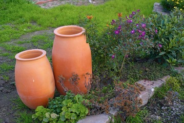 IMGP0257_2