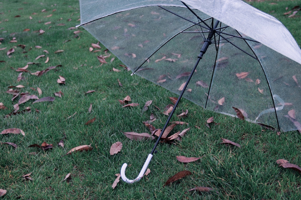 没有下雨天的伞