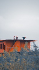 43619