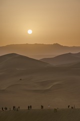 2965404