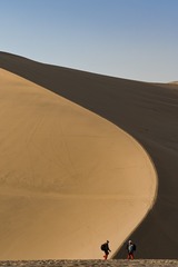 2965401
