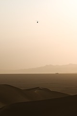 2965402