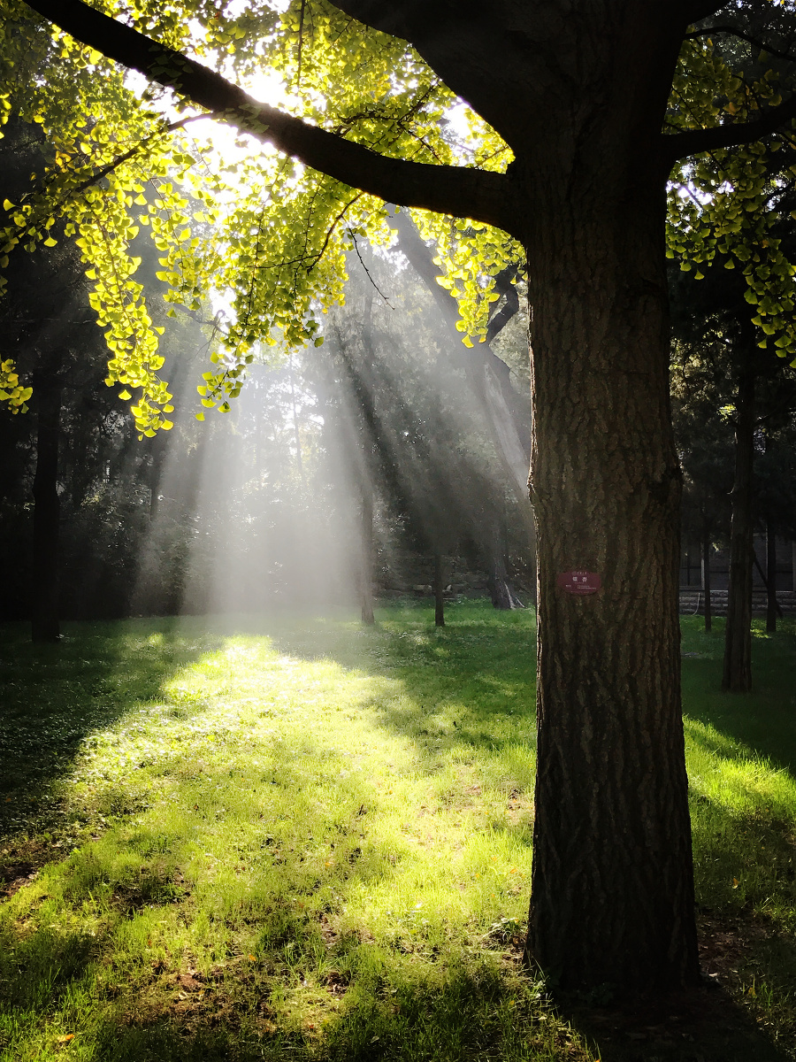 深秋清晨,沐浴阳光