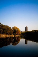IMG_0526.jpg