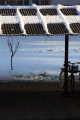 雪后随拍