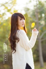 LDP_8552