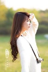 LDP_8593