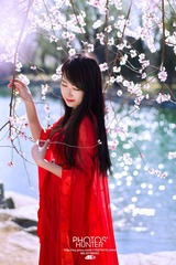 LDP_4307 