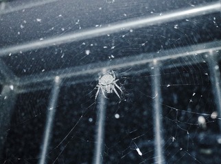 8F44C1F1-46F5-4CA1-9DF2-097F4D2BC071/L0/001
