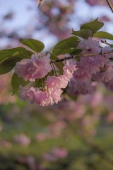 A81B6878-6795-445A-A8C5-C190334CA13F/L0/001
