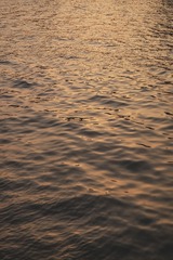 49526AAC-D762-4EF9-93BC-643878B91531/L0/001